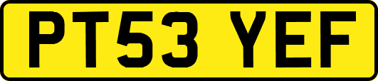 PT53YEF