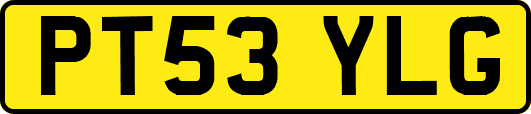 PT53YLG