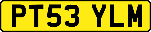 PT53YLM
