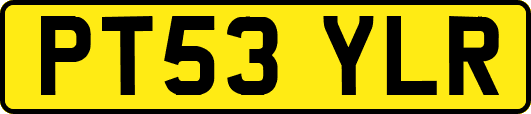 PT53YLR