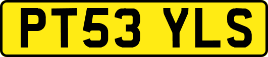 PT53YLS