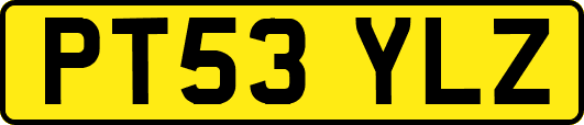 PT53YLZ