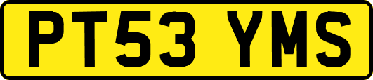 PT53YMS