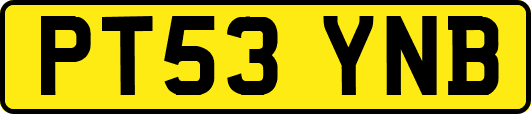 PT53YNB