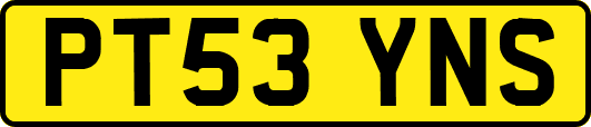 PT53YNS