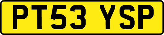 PT53YSP