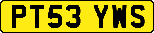 PT53YWS