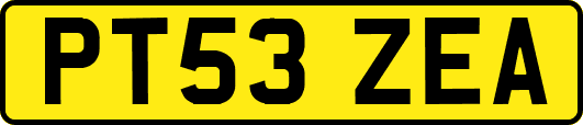 PT53ZEA