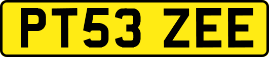 PT53ZEE
