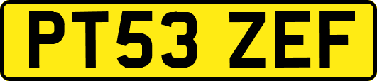 PT53ZEF