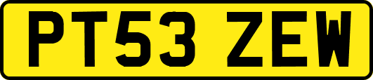 PT53ZEW