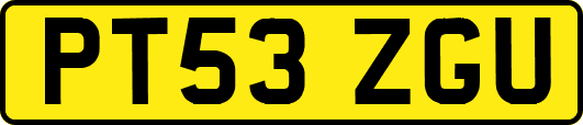 PT53ZGU