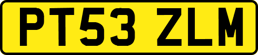 PT53ZLM