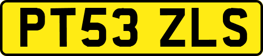 PT53ZLS
