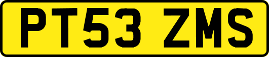 PT53ZMS