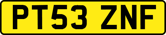 PT53ZNF