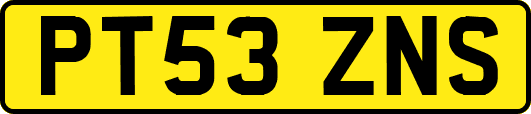 PT53ZNS