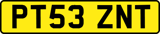 PT53ZNT