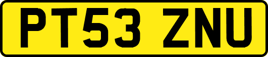 PT53ZNU