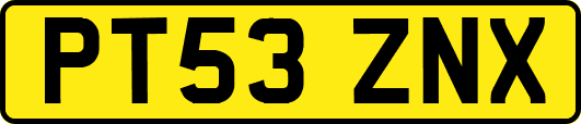 PT53ZNX