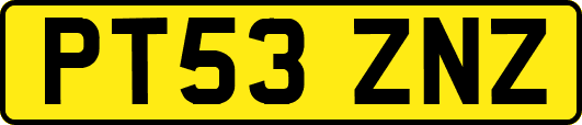 PT53ZNZ