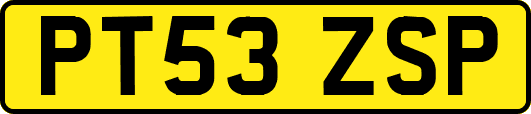 PT53ZSP