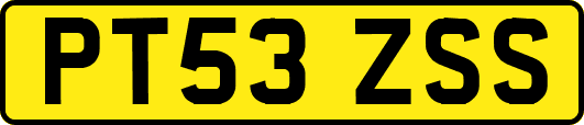 PT53ZSS