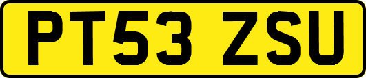 PT53ZSU