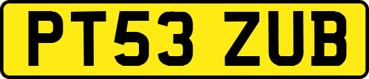 PT53ZUB
