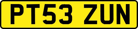 PT53ZUN