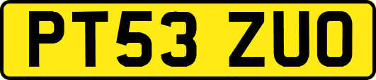 PT53ZUO