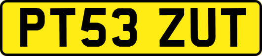 PT53ZUT