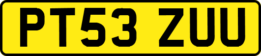 PT53ZUU