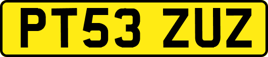 PT53ZUZ