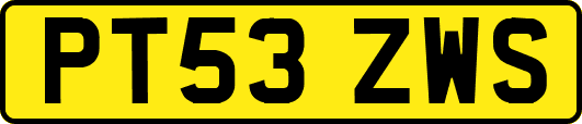 PT53ZWS