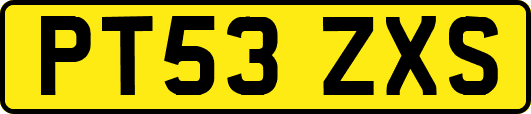 PT53ZXS
