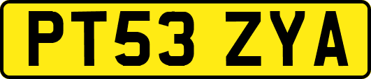 PT53ZYA