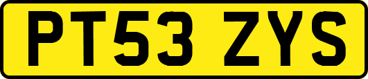 PT53ZYS