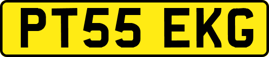 PT55EKG