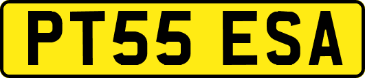 PT55ESA