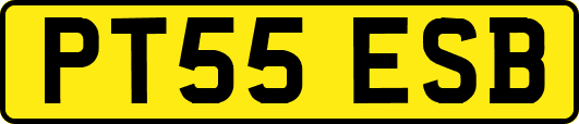 PT55ESB