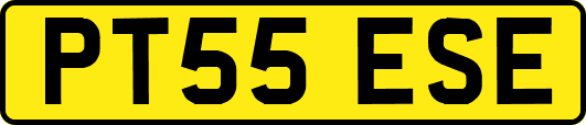 PT55ESE