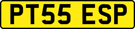 PT55ESP