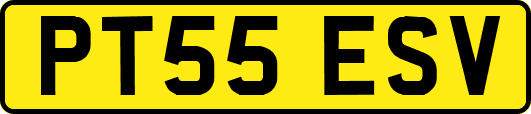 PT55ESV