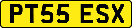 PT55ESX
