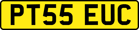 PT55EUC