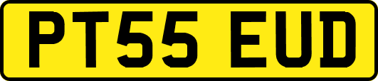 PT55EUD