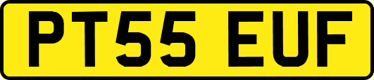 PT55EUF