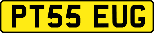 PT55EUG