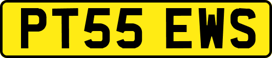 PT55EWS